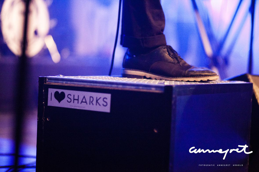 I Heart Sharks (live beim Rockbuster-Finale in Koblenz, 2014)